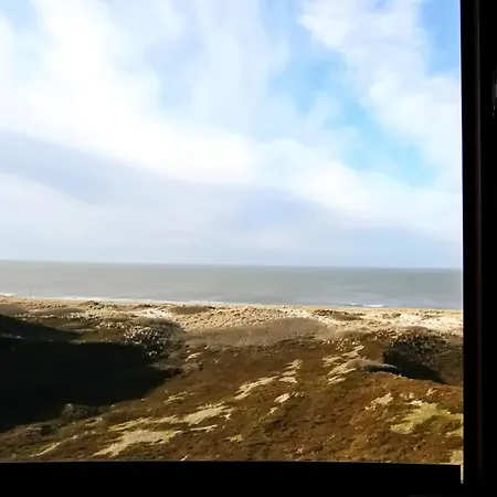 Strandhafer * Hörnum